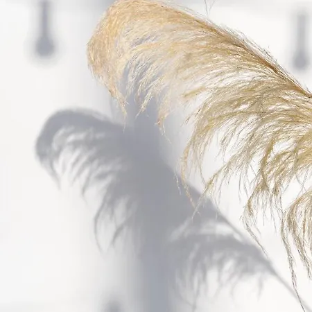 Haka Апартаменты Mykonos Town