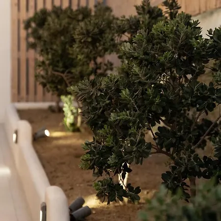 Haka Апартаменты Mykonos Town