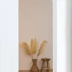 Haka