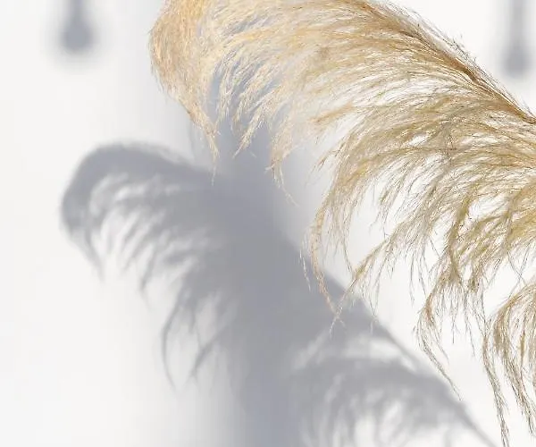 Haka Daire Mykonos Town