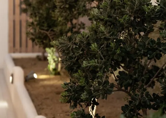 Haka 아파트 Mykonos Town